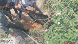 Read more about the article लोकसभा चुनाव व होली के मद्देनजर उत्पाद विभाग की लगातार छापेमारी जारी