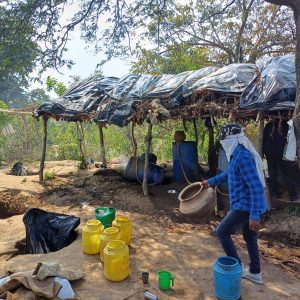 Read more about the article उत्पाद विभाग ने छापेमारी कर 3.6 किलो जावा महुआ तथा 60 लीटर अवैध महुआ शराब किया जप्त