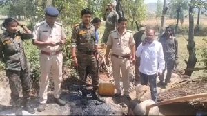 Read more about the article उत्पाद विभाग की टीम ने दो गांवो में किया 4 भट्ठी ध्वस्त