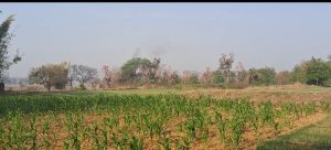 Read more about the article दो एकड़ जमीन पर अनेकों प्रकार की सब्जियां उगा कर परिवार का चला रहे हैं जीविका: संजय उरांव