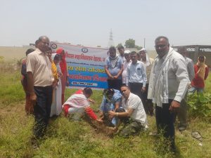 Read more about the article महाविद्यालय परिसर में लगाए गए फलदार व औषधीय पौधे