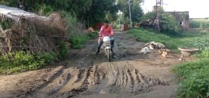 Read more about the article पिपरा से घाघरा -लंगुराही जानेवाली सड़क जर्जर