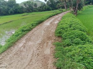 Read more about the article ग्रामीणों ने किया विधायक से सड़क निर्माण कराने की मांग
