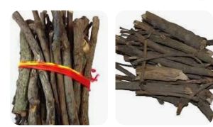 Read more about the article कल होगा छठ व्रतियों के लिए सुखी आम की लकड़ी का वितरण : बी एम पाण्डेय