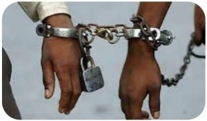 Read more about the article मारपीट के तीन प्राथमिकी अभियुक्त गिरफ्तार,भेजे गए जेल