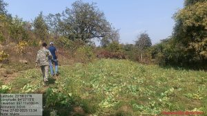 Read more about the article अवैध अफीम/पोस्ते की खेती के विरुद्ध अभियान चलाकर फसलों को किया गया नष्ट