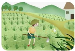 Read more about the article फ्री खरीफ विकसित कृषि संकल्प अभियान 29 से
