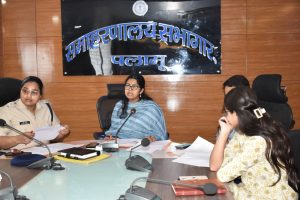 Read more about the article उपायुक्त की अध्यक्षता में जिला सुरक्षा समिति की बैठक संपन्न, बॉडीगार्ड पर हुई चर्चा