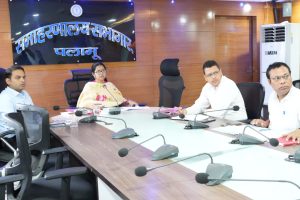 Read more about the article डीसी ने डीईजीएस व ई गवर्नेंस के तहत किये जा रहे कार्यों की समीक्षा की