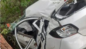 Read more about the article अमझरिया घाटी में दर्दनाक सड़क हादसा, मां-बेटी की मौत, दो भाई गंभीर से घायल