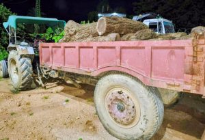 Read more about the article रेहला पुलिस ने शीशम की लकड़ी लदा ट्रैक्टर किया जब्त, चालक को गिरफ्तार करते हुए भेजा गया न्यायिक हिरासत