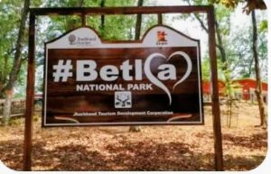 Read more about the article 27 सितम्बर से खुलेगा बेतला नेशनल पार्क