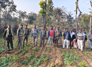 Read more about the article पांकी के वन भूमि पर लगे अवैध अफीम की खेती को पुलिस ने किया नष्ट