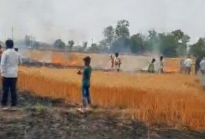 Read more about the article कुशडीह गांव में आग लगने से गेहूं की फसल जलकर खाक