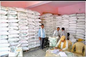Read more about the article हरिहरगंज पूर्वी नोडल पैक्स में अनुदानित धान बीज की बिक्री शुरू