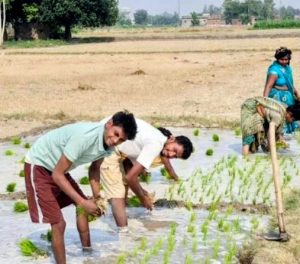 Read more about the article बिहार, झारखंड और पूर्वी उत्तर प्रदेश में बारिश की कमी अभी भी बड़ी चुनौती