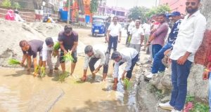 Read more about the article बैरिया चौक पर युवाओं का अनोखा प्रदर्शन ,धान रोप कर जर्जर सड़क का जताया विरोध, कल देंगे धरना
