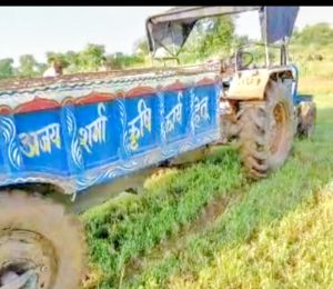 Read more about the article हरिहरगंज- अवैध बालू परिवहन पर पुलिस की कार्रवाई, दो ट्रैक्टर जब्त